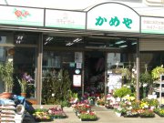 「花のかめや」　（山形県南陽市）の花屋店舗写真1